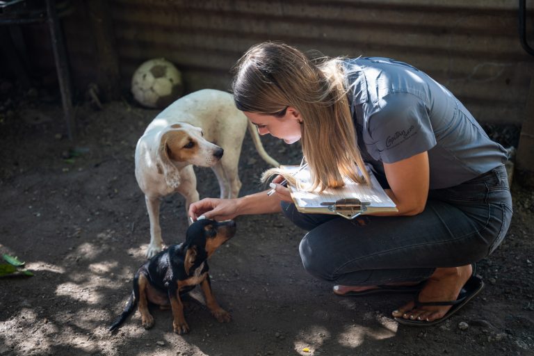 A woman petting a puppy, in Guanacaste Costa Rica.