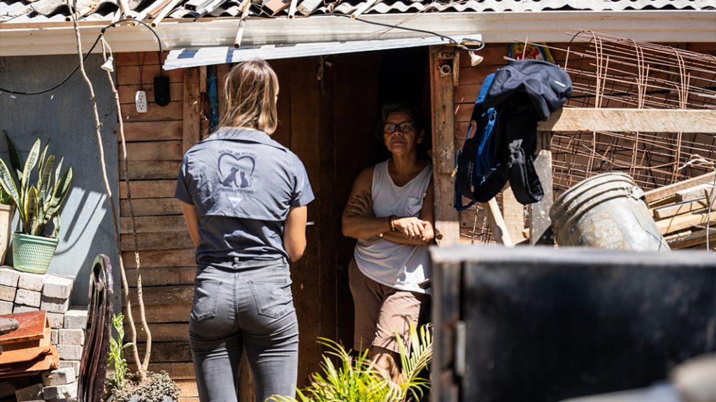 We try to sterilize all cats and spay all dogs within a village and therefore go from house to house to make a list (owner’s name, mobile number, transport and number of animals).