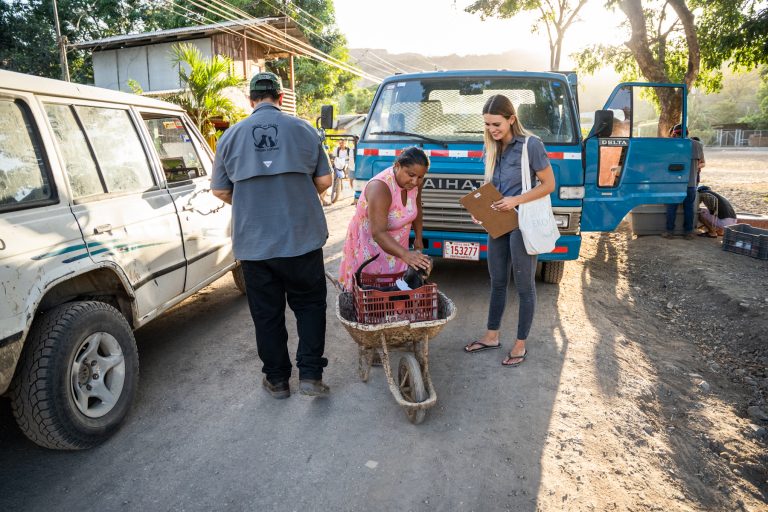 Neutering campaigns in a small village in Guanacaste, Costa Rica. Animals, cats and dogs, are brought by their owners to a collection point and transported by the organisations to the veterinary clinic with a small truck.