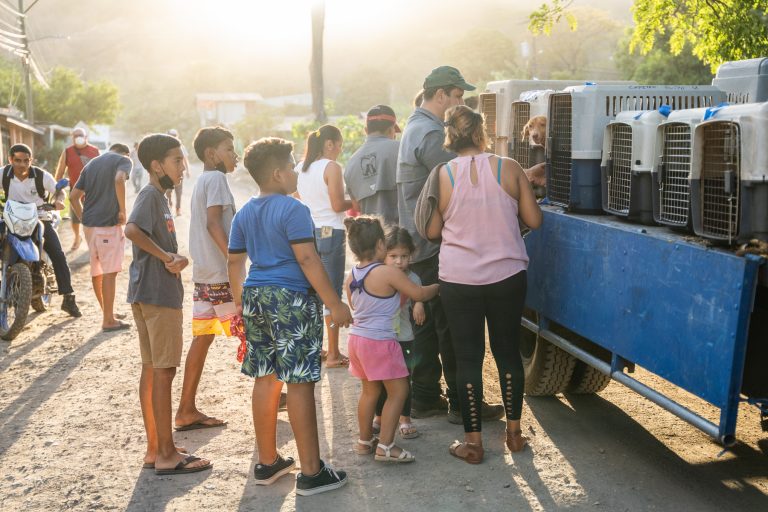 Neutering campaigns in a small village in Guanacaste, Costa Rica. Animals, cats and dogs, are brought by their owners to a collection point and transported by the organisations to the veterinary clinic with a small truck.