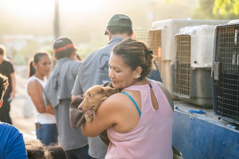 Neutering campaigns in a small village in Guanacaste, Costa Rica. Animals, cats and dogs, are brought by their owners to a collection point and transported by the organisations to the veterinary clinic with a small truck. A woman cuddles her dog.