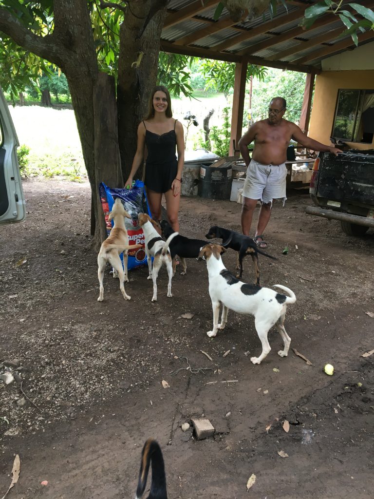 Food distribution for cats and dogs in the villages of Guanacaste Costa Rica.